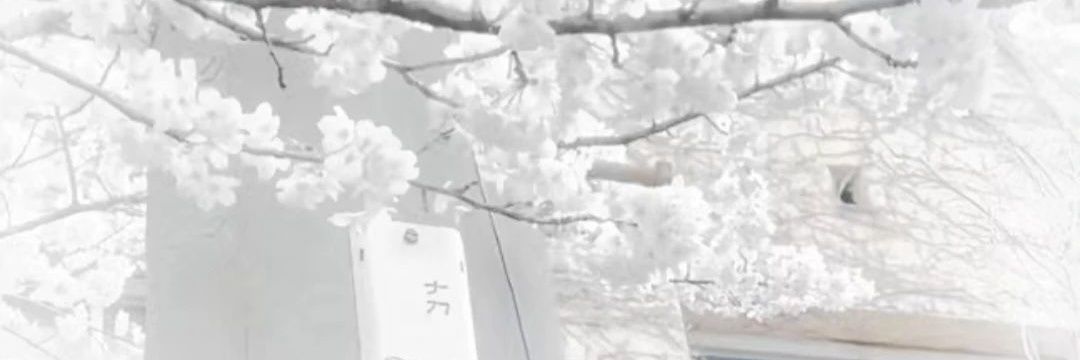 PrayForSofter's profile banner image