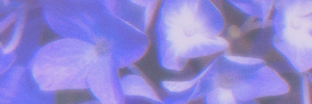 veiss_ygo's profile banner image