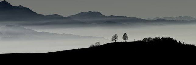 Typho1n's profile banner image