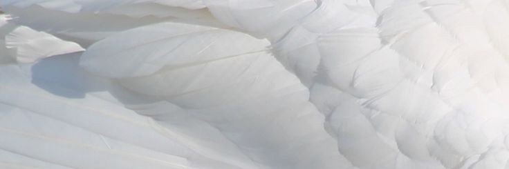 noheartmoretrue's profile banner image