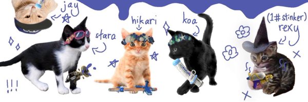 Seapunks_SPL Profile Banner