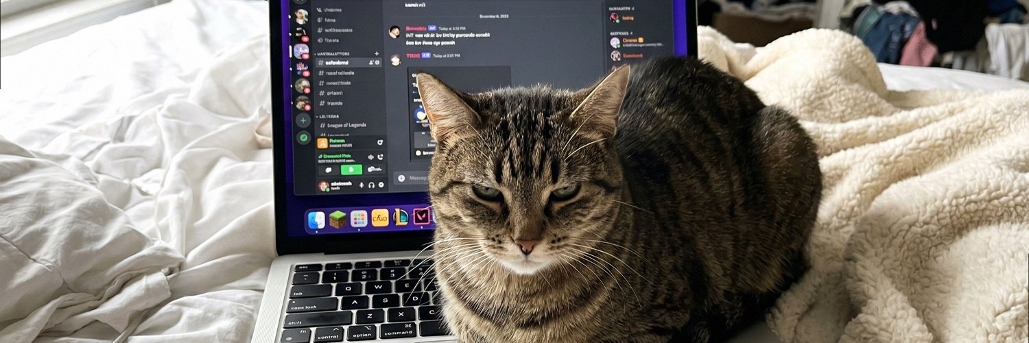 sofisongsv94's profile banner image