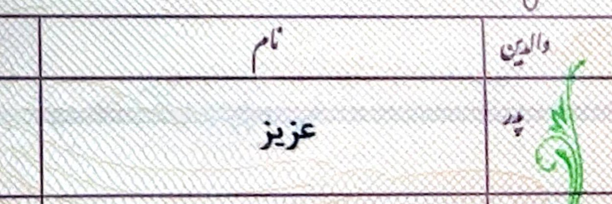 پسر عزیز banner