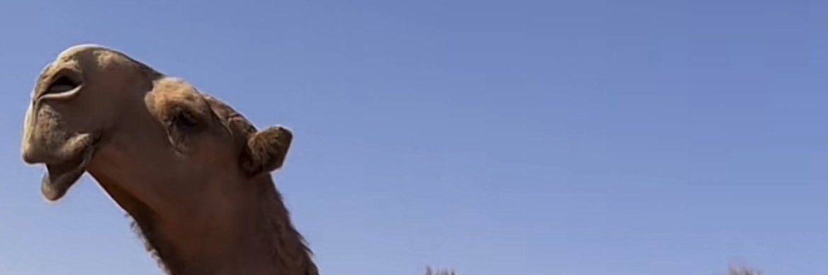 abdlkrum alzyadi banner
