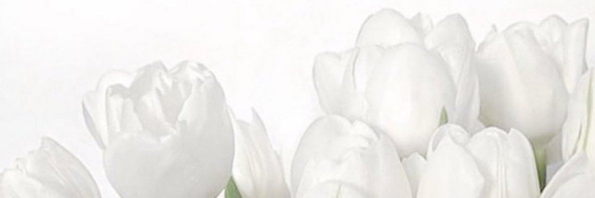 𝐒𝐇’’ banner