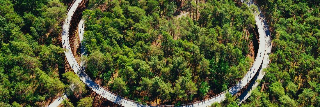 Visit Limburg banner