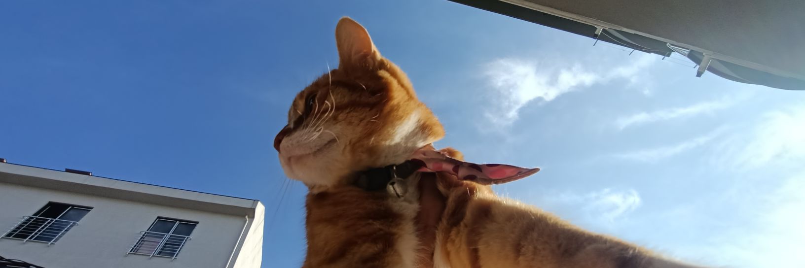 kılavatlı Paris banner