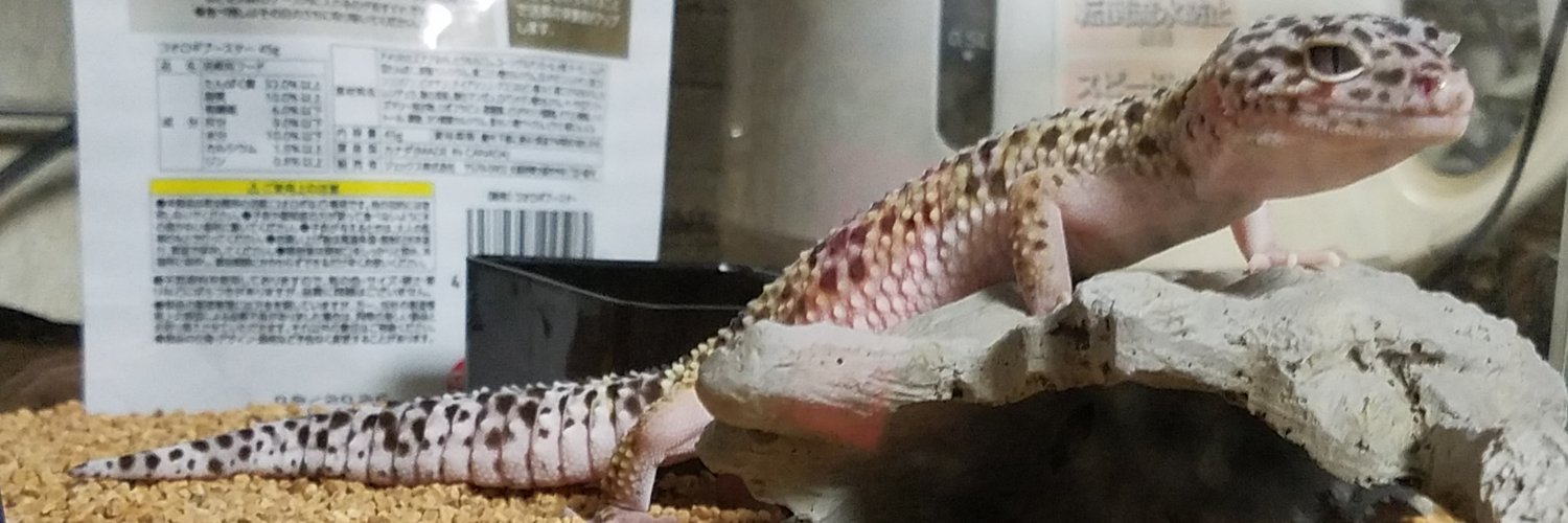 ゆうき banner