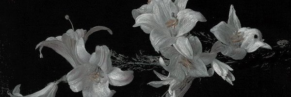 HOTOG0 Profile Banner