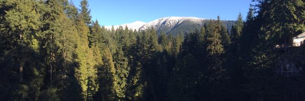 Hershfield Profile Banner