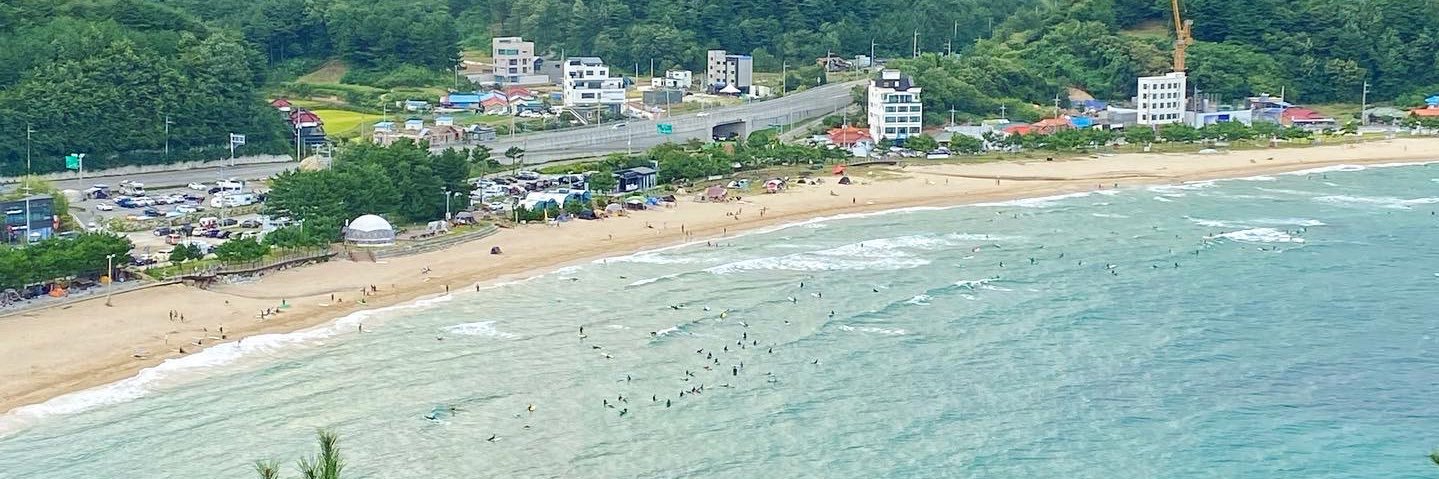 🎗바르게살볶음밥 banner