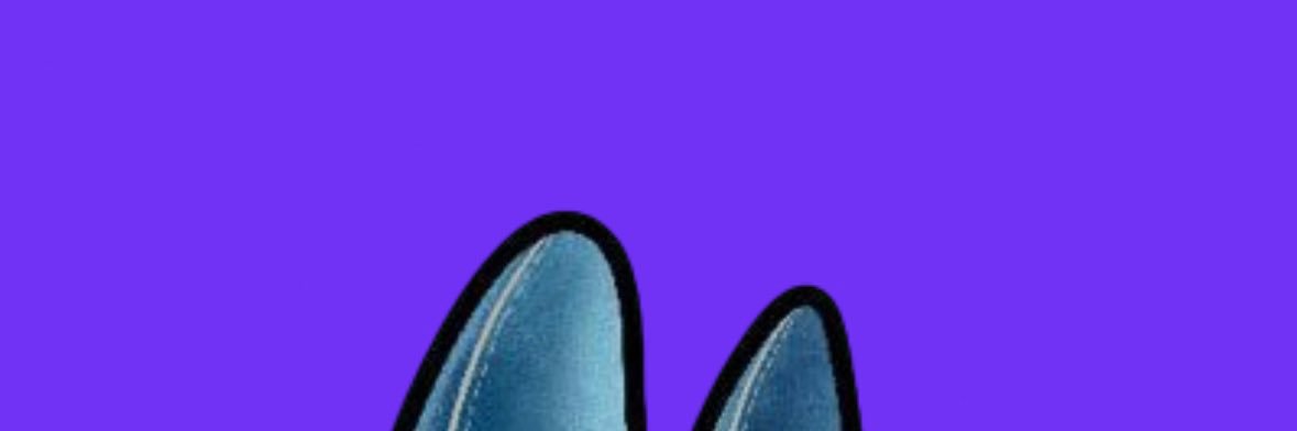 Bazinga banner