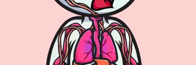 Sebi Reddio 「 🖐️ ✦ 🌏 」Meshchain.Ai banner