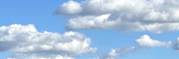 orangedull Profile Banner