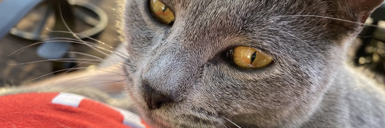 vcoolhouse5's profile banner image