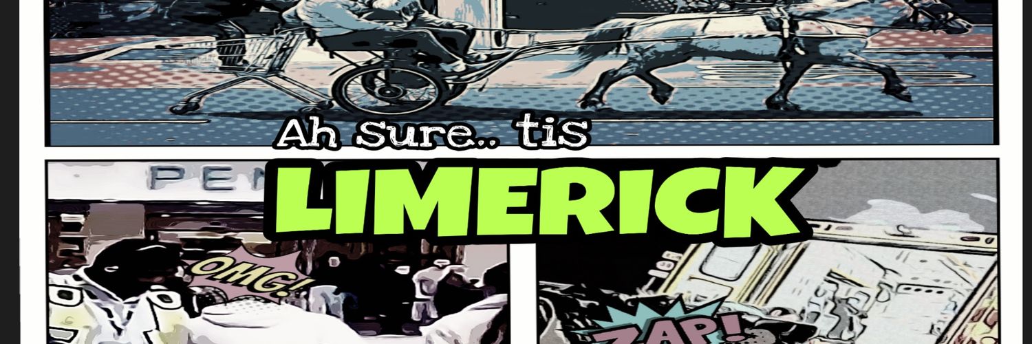 Ah sure.. tis Limerick's banner