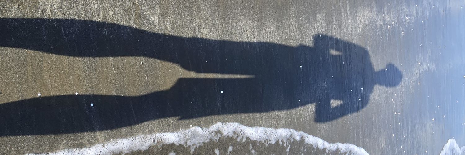 چیتا با چیتوز banner