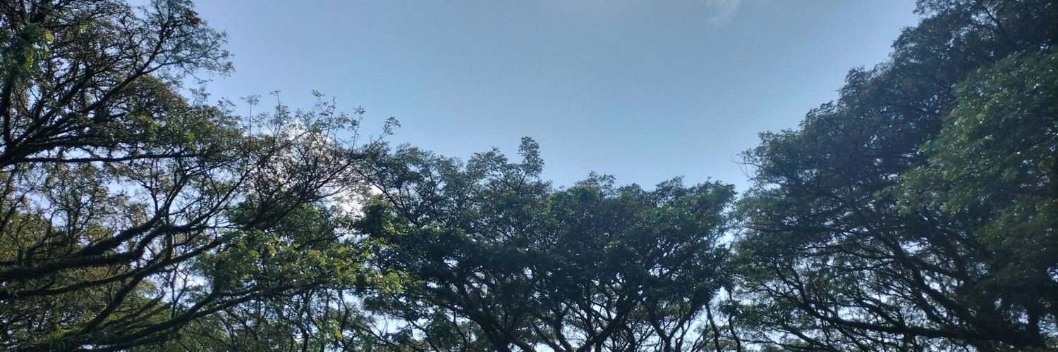 ar banner