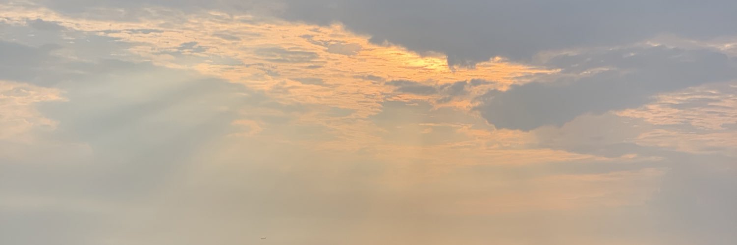 drollsan's profile banner image