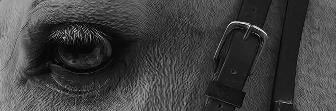 _firdevsgun's profile banner image