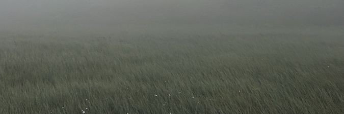 Akine_Koemi's profile banner image