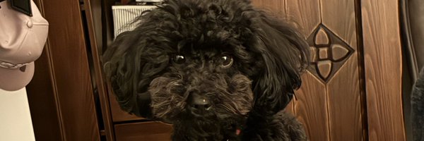 BurcuEr03562145 Profile Banner