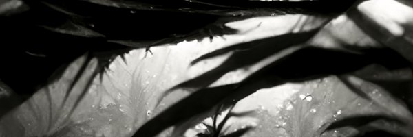 EkaliMusic Profile Banner