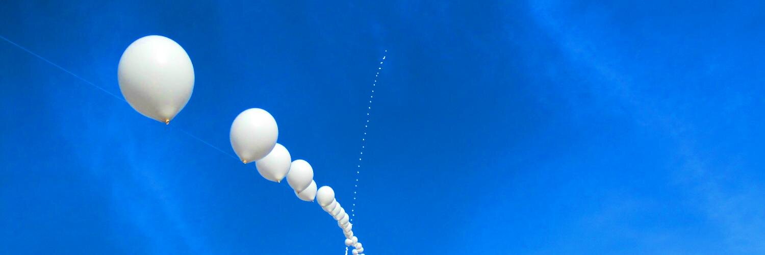 annekejong's profile banner image