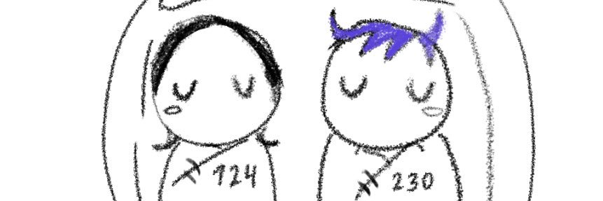 v's banner