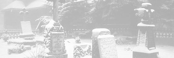 khali_seaweed's profile banner image