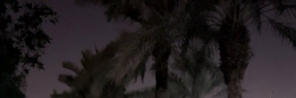 00000000x8x Profile Banner