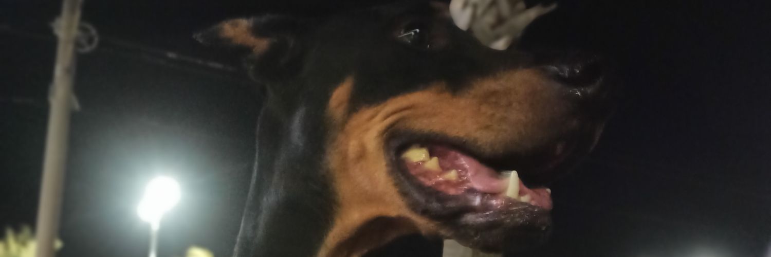 mcytk92's profile banner image