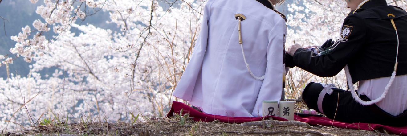 hareru_asora's profile banner image