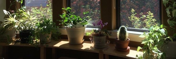 вася77|ENHYPEN🧡 banner