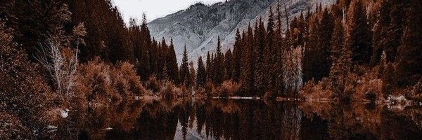 lincalys Profile Banner