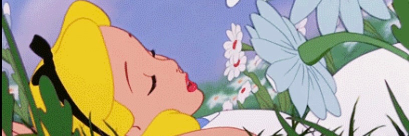 hellotte's banner