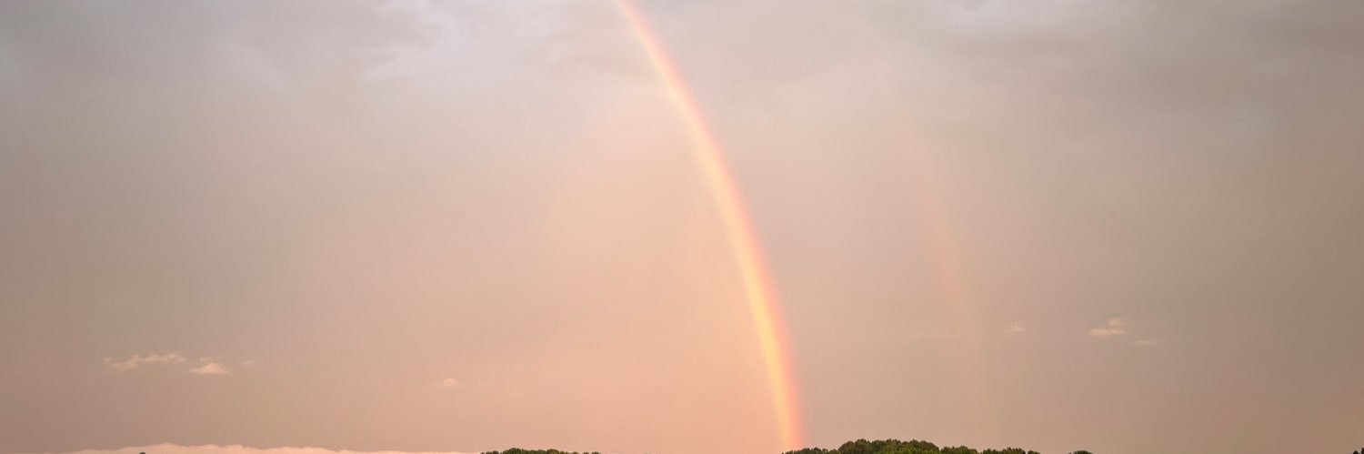 Notyourbiz's banner