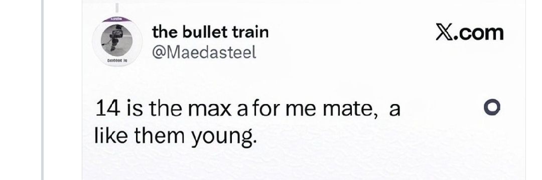 The Bullet Train @Maedasteel is a paedophile banner