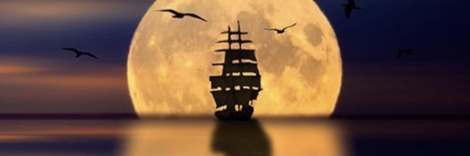 ercannmc's profile banner image