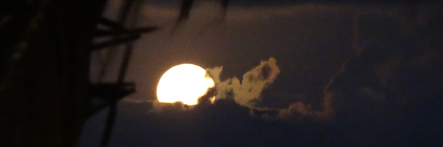 gularanja's profile banner image