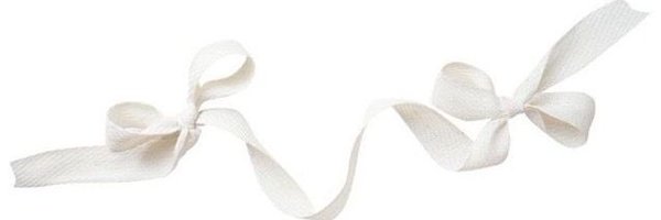 mirrorguts Profile Banner