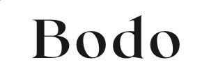 Bodo1 banner
