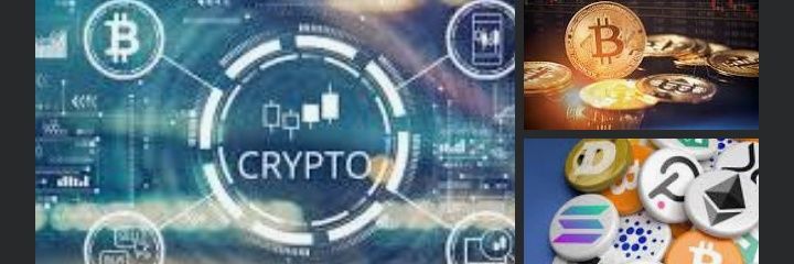 Crypto Zuzs banner