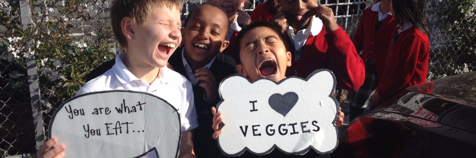 Healthy Planet US banner