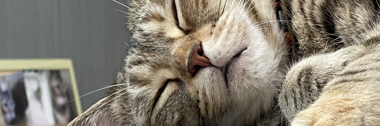 nyantau's profile banner image