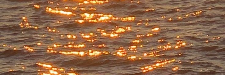 ♰ Midas / Dew banner