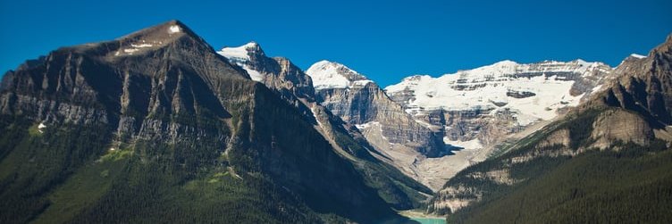 Alberta Sore banner
