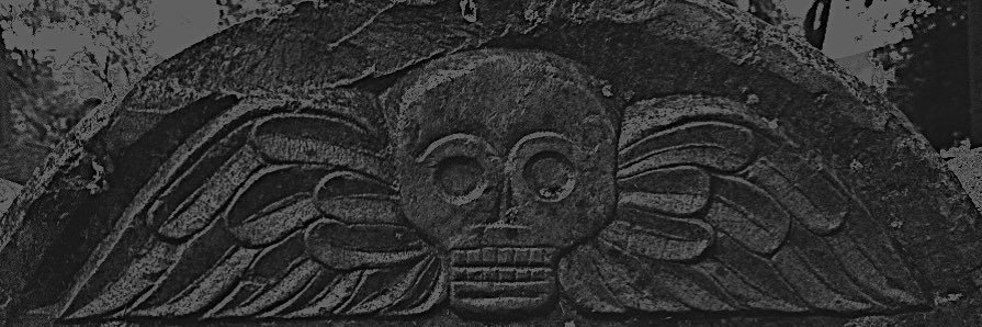 𝔇𝔞𝔳𝔢𝔶 𝔛 𝔅𝔬𝔫𝔢𝔰 banner