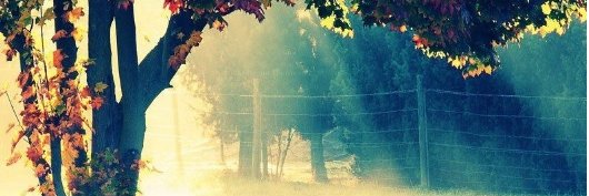BarbyCGG's profile banner image