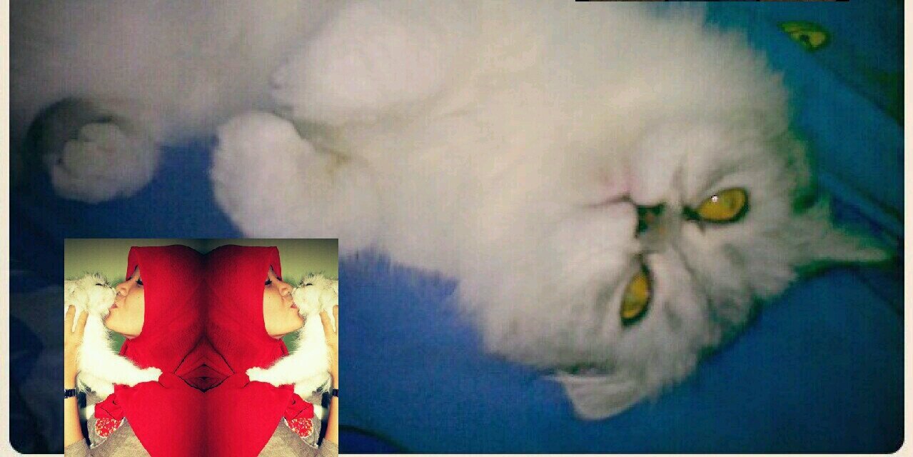 dianmukhtar's profile banner image